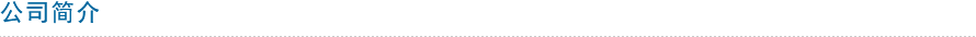 公司简介标题.png